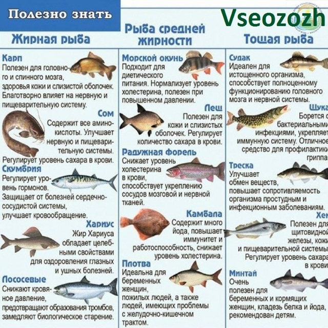 Какую Рыбу Можно Кушать На Диете