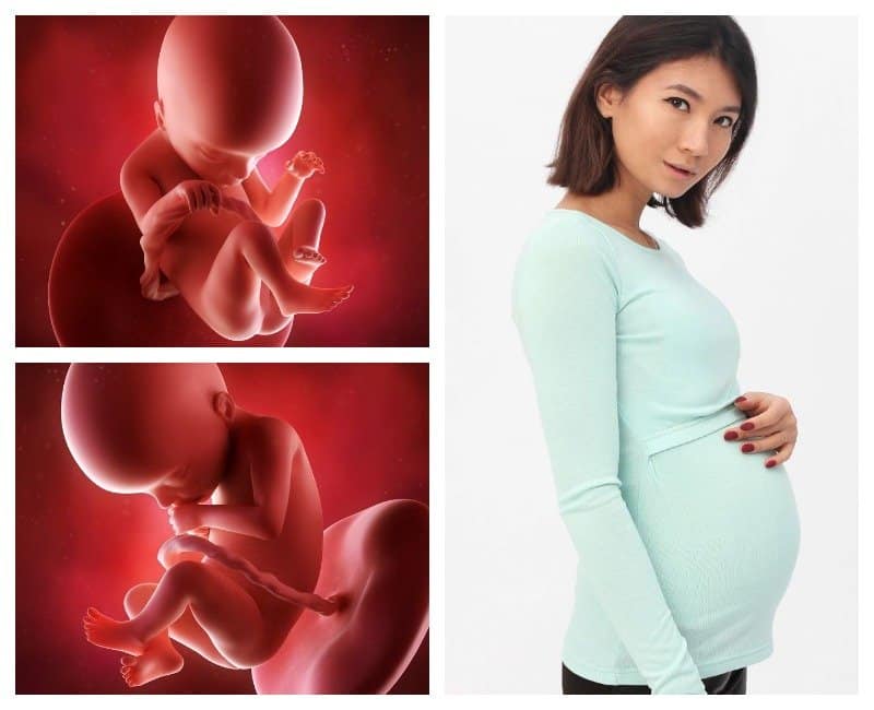 30 неделя беременности: что происходит с малышом и мамой
