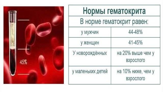 Расшифровка hct в общем анализе крови: что это такое, норма для женщин, мужчин и детей, понижение и повышение показателя