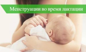 Год после родов нет месячных: как отличить норму от патологии