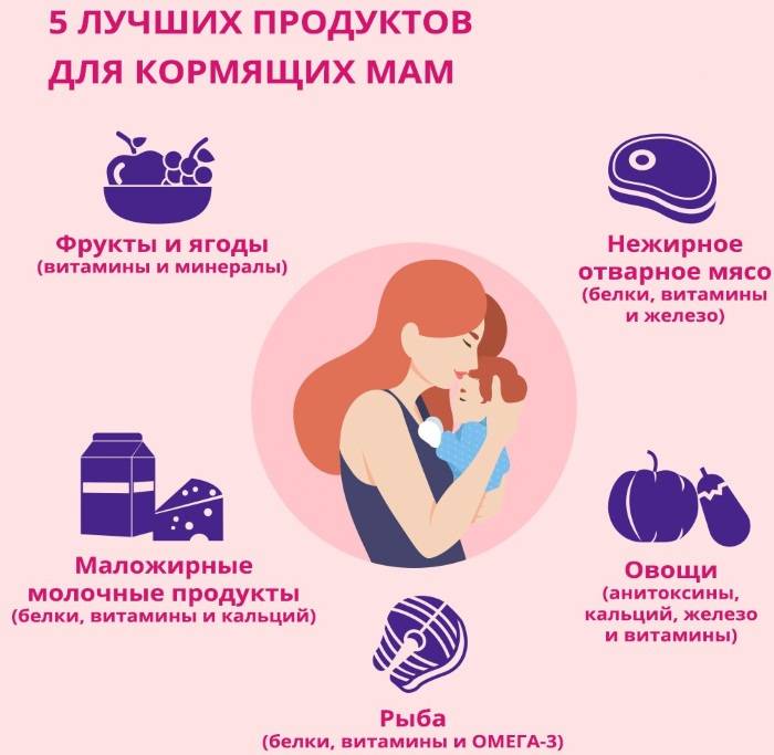Черника при беременности и грудном вскармливании: полезные свойства и противопоказания, применение в народной медицине