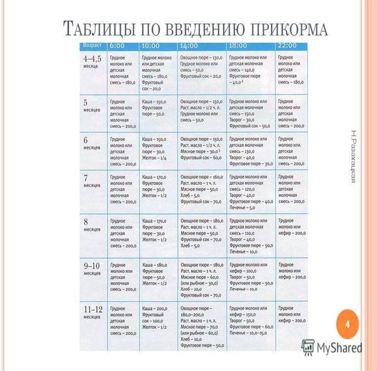 Схема первого прикорма по Комаровскому при грудном вскармливании: правила введения и подробные таблицы по месяцам