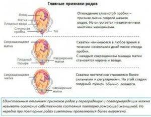 Третья беременность и роды: особенности и советы :: syl.ru