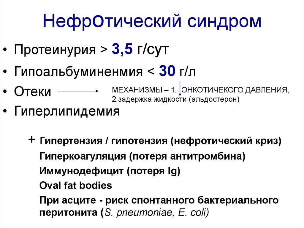 Нефротический и нефритический синдром презентация