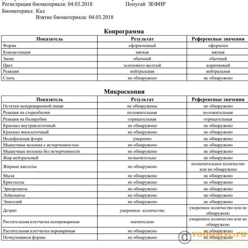 Копрограмма у детей — расшифровка копрограммы анализа кала ребенка - proinfekcii.ru