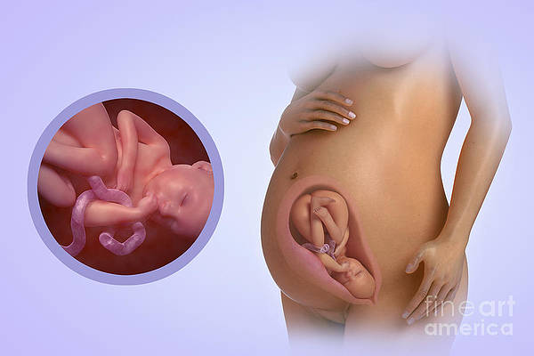 Страхи беременных: можно ли навредить ребенку в утробе?
