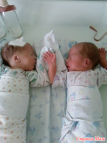 В каких случаях рождается двойня от чего зависит рождение двойни от кого зависит рождение двойни суперфетация суперфекундация в каких случаях рождаются близнецы и двойняшки от чего зависит рождение близнецов