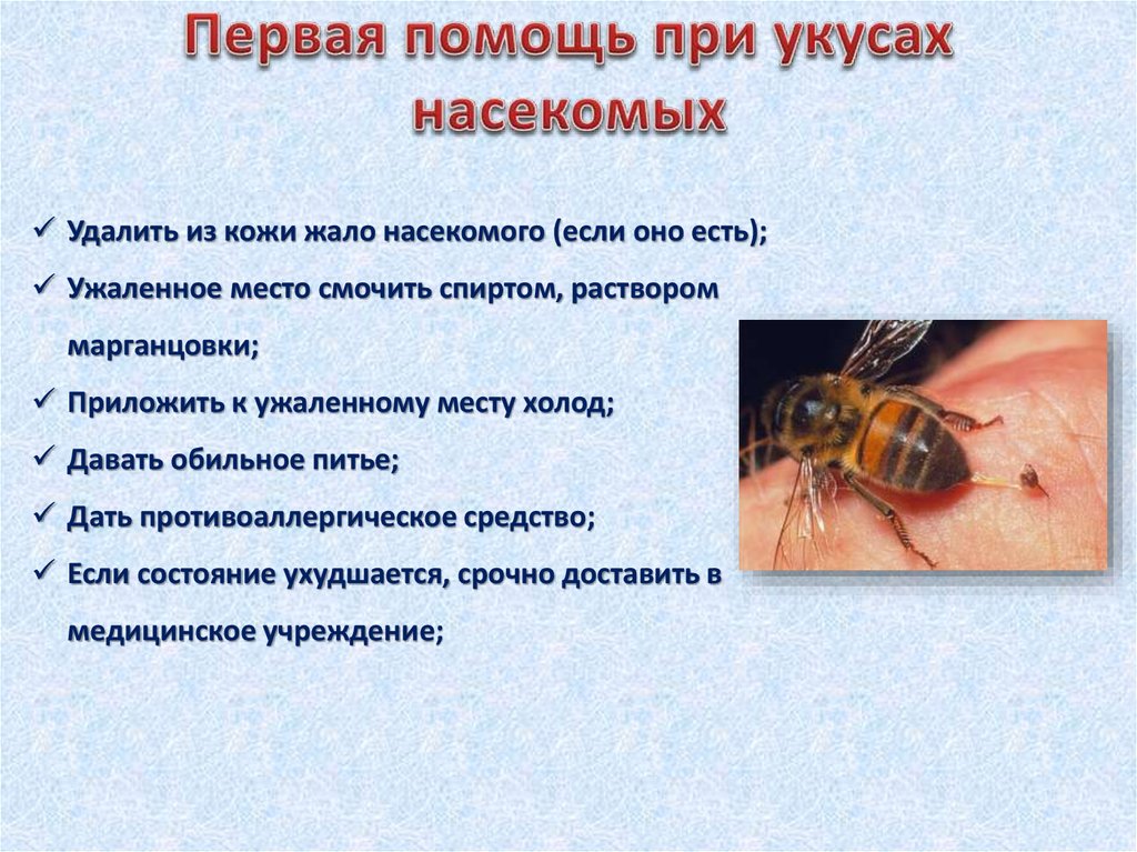Укус пчелы: симптомы,как снять отёк, первая помощь в домашних условиях, польза и вред от укуса