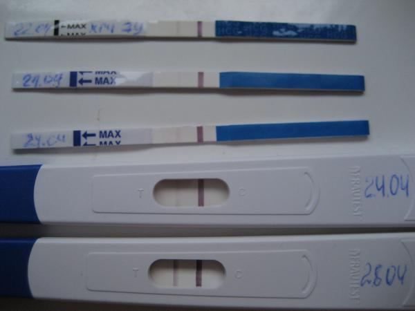 Когда можно делать тест на беременность, чтобы результат был точным