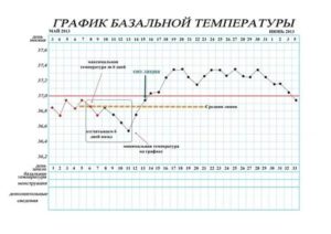 Температура при беременности: какая нормальная, что делать при температуре 37 и 38 / mama66.ru