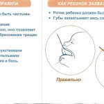 Комаровский - грудное вскармливание: как увеличить и повысить лактацию