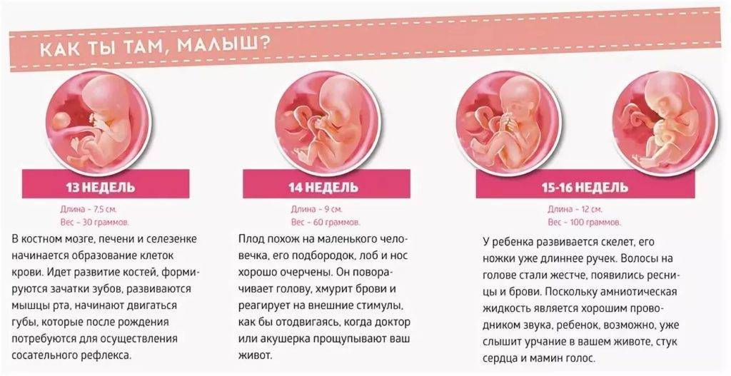 Третья беременность особенности и признаки