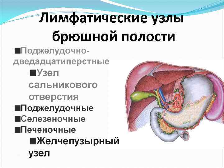 Мезаденит у детей, или острая патология кишечных лимфоузлов