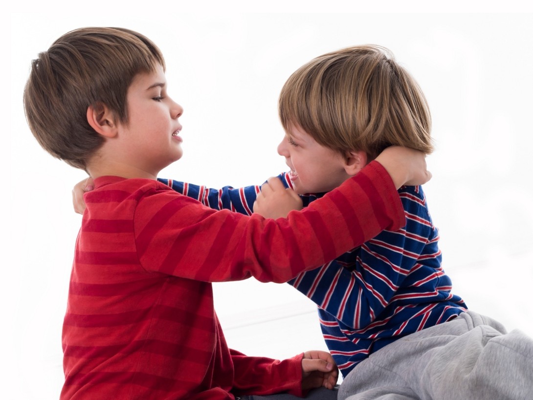 Почему дети дерутся между собой и как их успокоить? рассказывает психолог марина романенко