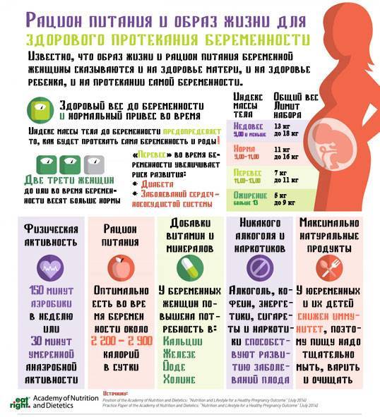 Питание беременных в 1 триместре: диета и меню, особенности рациона женщины в первые недели беременности, что кушать каждый день
