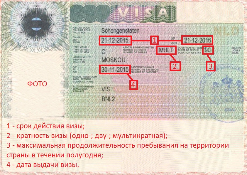 Как оформить шенгенскую визу для ребенка в 2019 году