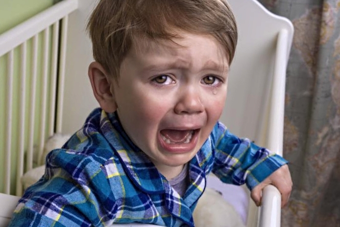 Ребенок приходит из сада и закатывает истерики: советы психолога