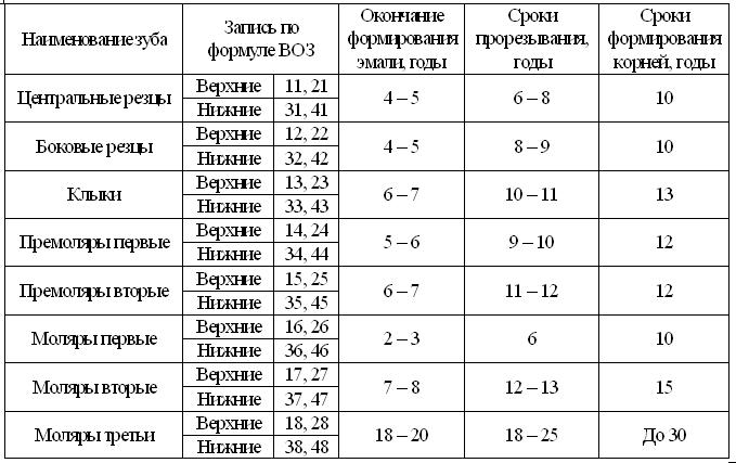 Молочные зубы у детей - когда начинают выпадать и меняться: схема и сроки | spacream.ru