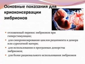 Криоперенос эмбрионов: подготовка, этапы и выбор дня для переноса