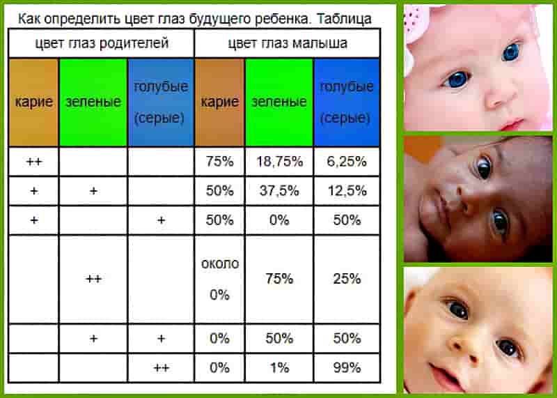 Во сколько у грудничков меняется цвет глаз или когда меняются глаза у новорожденных, секреты изменения цвета глаз у младенца