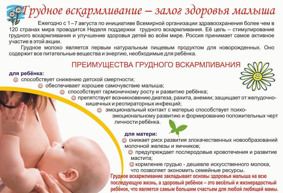 Можно ли кормить ребенка грудью при отравлении?
можно ли кормить ребенка грудью при отравлении?