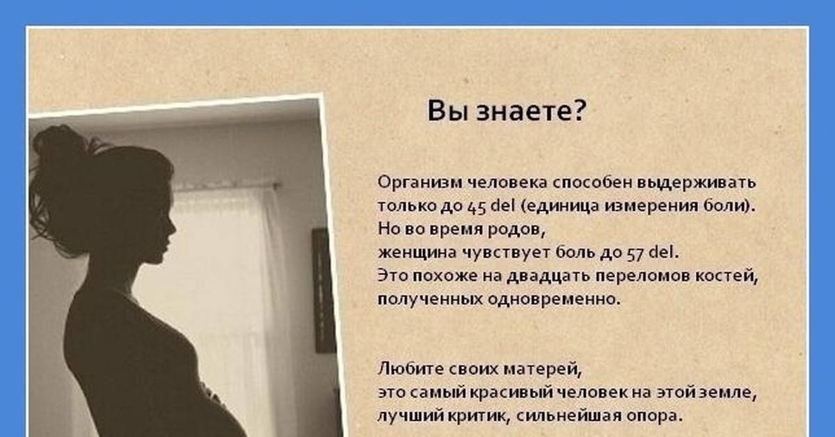 «концепция не выдерживает никакой критики»: захарова призвала берлин оперативно ответить на запрос по навальному