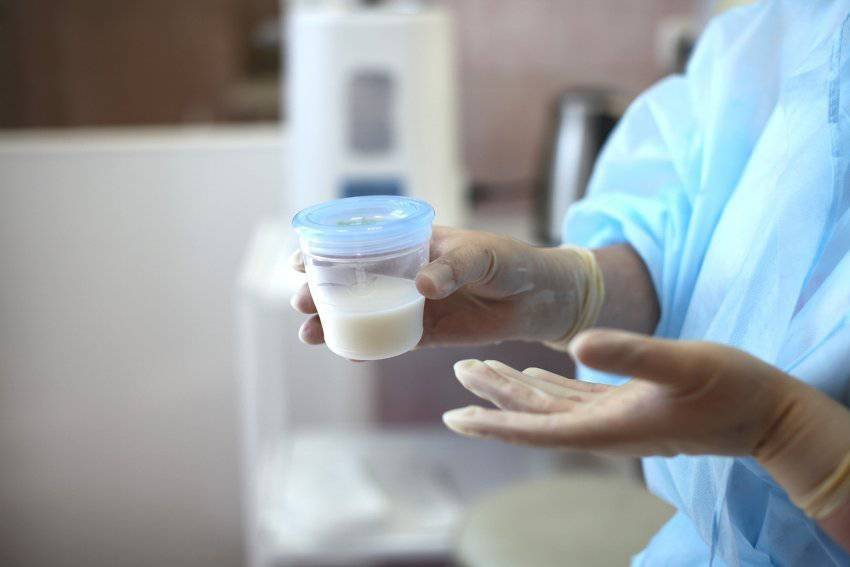 Все об анализе грудного молока кормящей матери на стерильность: посев на стафилококк и бактерии