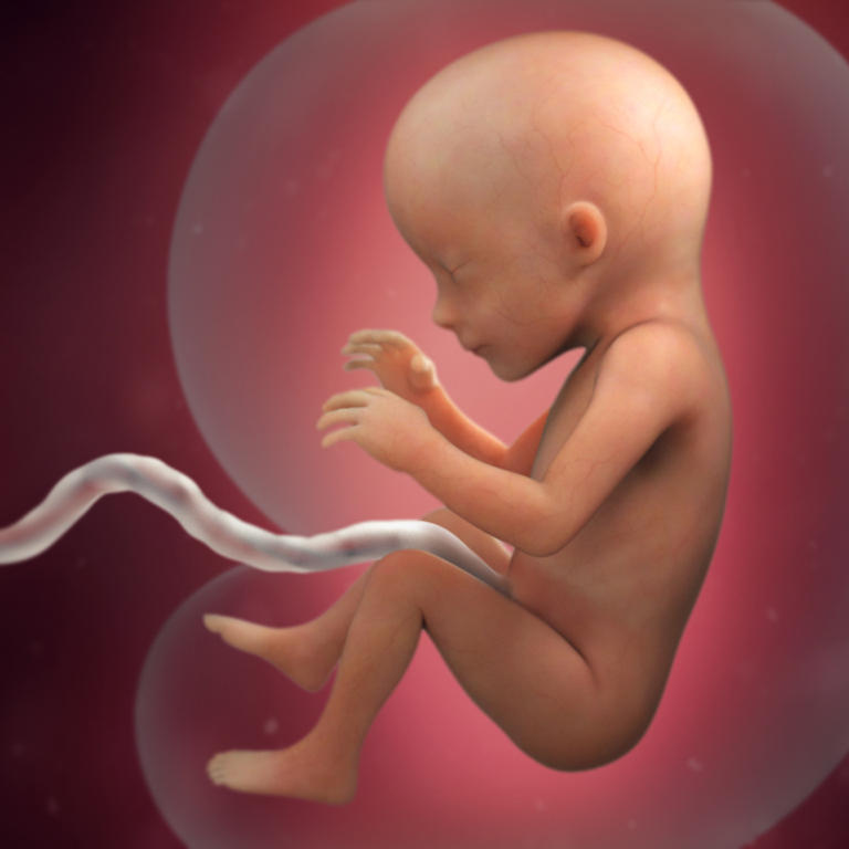 Второй месяц беременности (18 фото): признаки и симптомы, ощущения беременной женщины, размер живота, что происходит с плодом на 2 месяце