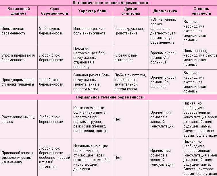 Размеры матки во время беременности: таблица по неделям, нормы, несоответствие сроку / mama66.ru