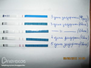 Задержка 14 дней тест отрицательный может ли быть беременность. horoshayaberemennost.ru