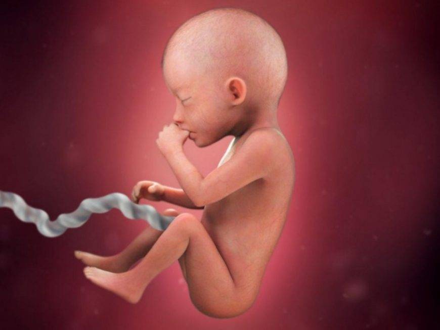 30 неделя беременности: что происходит с малышом и мамой, развитие плода