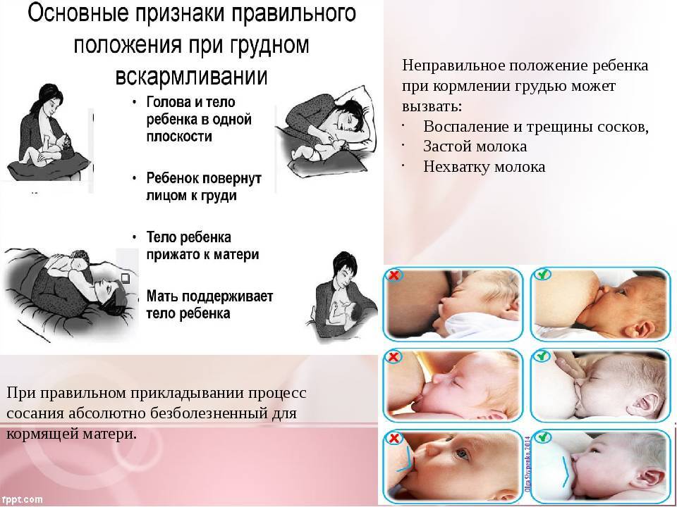 Техника и правила прикладывания ребенка к груди