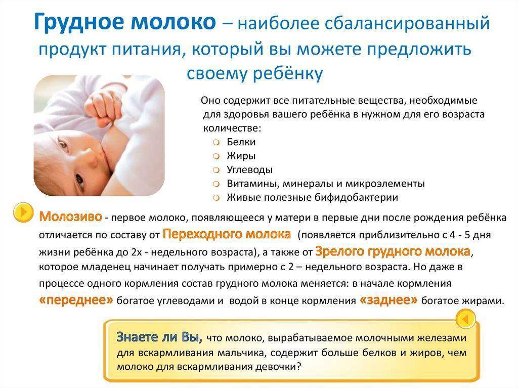 До скольки кормить ребёнка грудным молоком комаровский: советы известного детского доктора