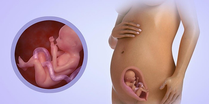 13 неделя беременности - ощущения в животе (как развивается плод). возможные осложнения