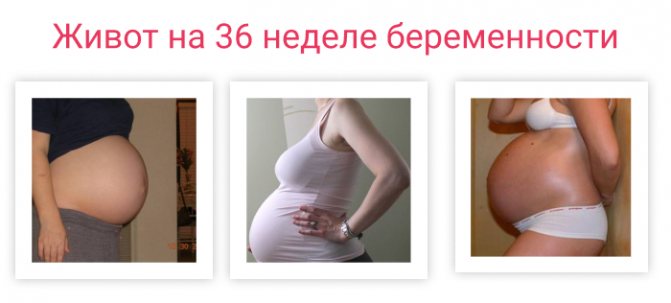 39 неделя беременности: болит и тянет живот, предвестники родов