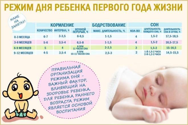 Режим дня ребенка в 4 месяца