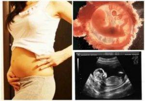 3 неделя беременности:что происходит с эмбрионом и будущей мамой?