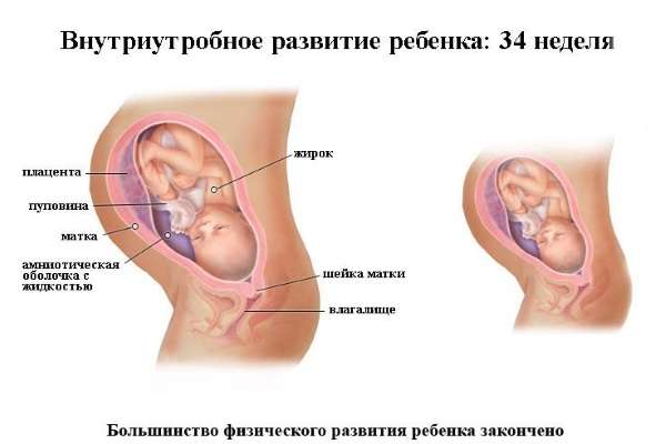39 неделя беременности