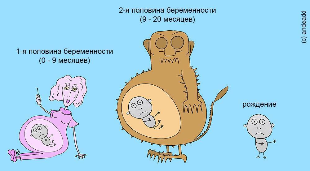 10 мифов о беременности - полонсил.ру - социальная сеть здоровья - медиаплатформа миртесен