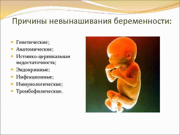 Невынашивание беременности: причины, диагностика, лечение / mama66.ru