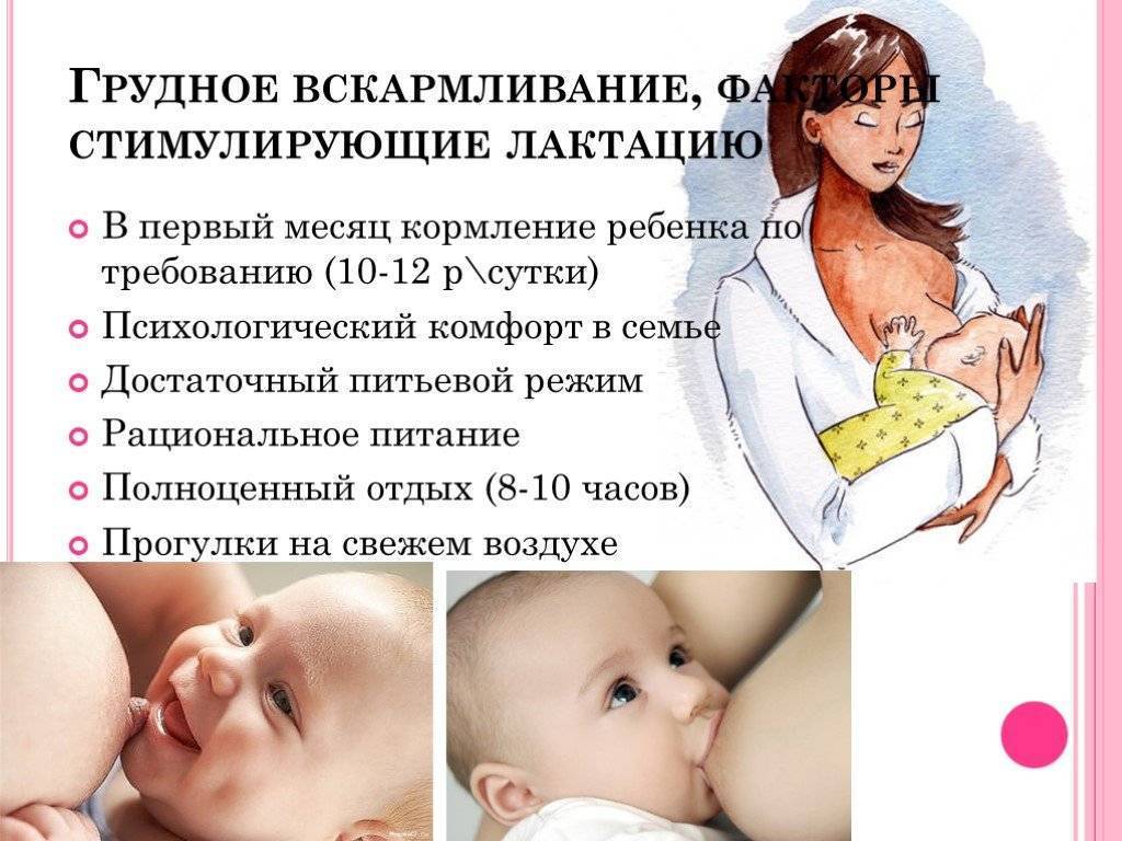 Менструация при гв: когда начинаются месячные после родов во время кормления грудью, а также рекомендации доктора комаровского