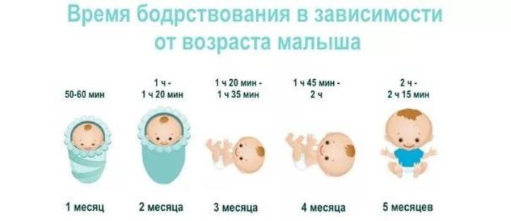 Режим дня новорожденного: развитие ребенка от 0 до 1 месяца