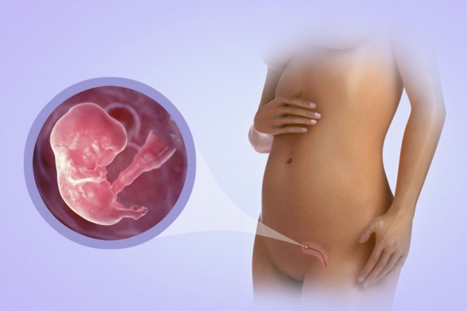 34 неделя беременности - что происходит с плодом и что чувствует женщина?