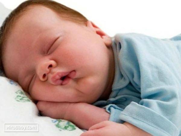 Ребенок храпит во сне ночью и соплей нет: комаровский и чем лечить