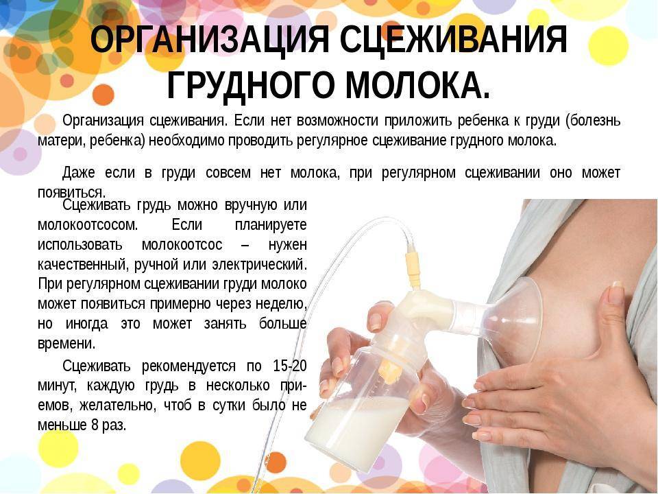 Как расцедиться после родов в первые дни, правильно разработать грудное молоко и размять протоки молочной железы