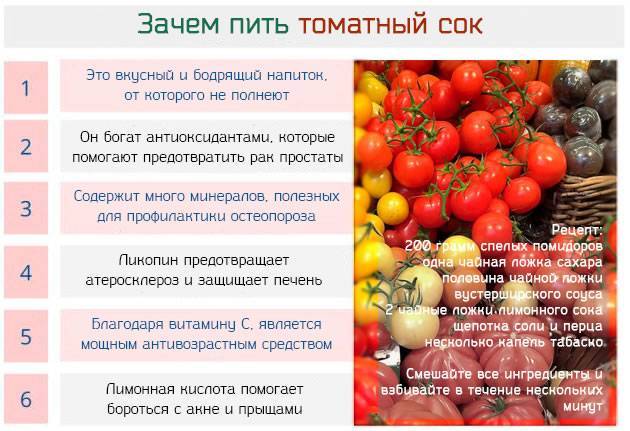 6 советов родителям по введению томатов в рацион малыша