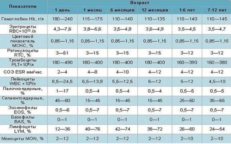 Норма лейкоцитов в крови у детей: таблица по возрасту ребенка, уровень новорожденных, сколько должно быть, грудничка - разборболезни
