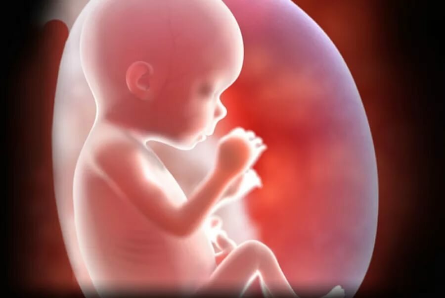 7 месяц беременности: ощущения, развитие и внешний вид малыша