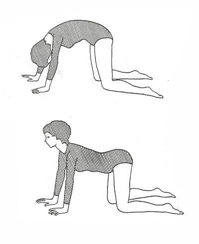 Упражнение "кошечка" для беременных и другие элементы коленно-локтевой гимнастики: польза занятий для таза при симфизите