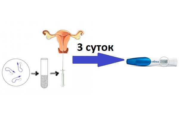 Как вести себя после переноса эмбрионов? рекомендации после эко, питание и подготовка к подсадке, что делать